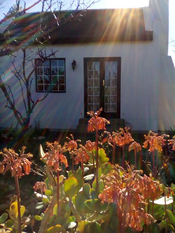 Orchard Cottage McGregor Exteriér fotografie